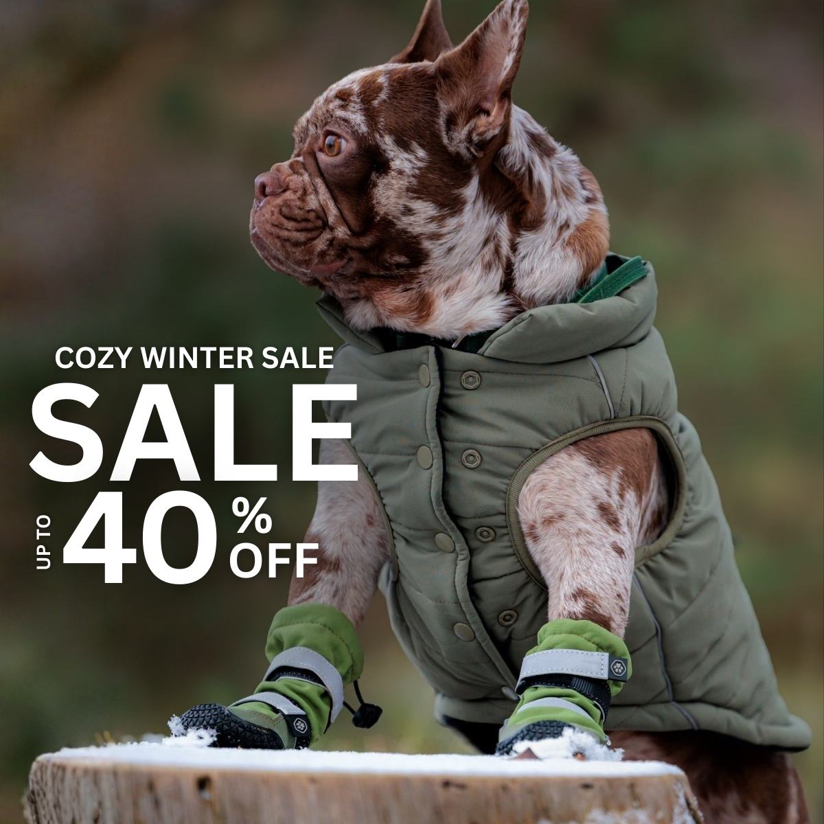 Spark Paws Facebook ad