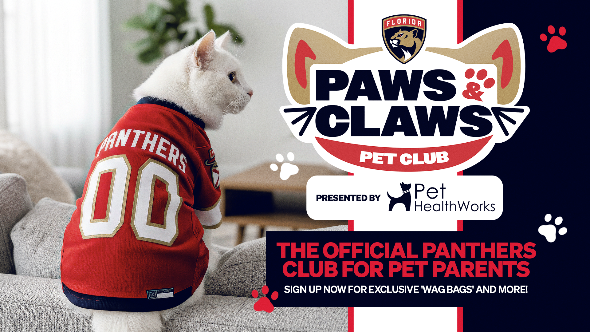 Florida Panthers Facebook ad from Feb 20, 2026