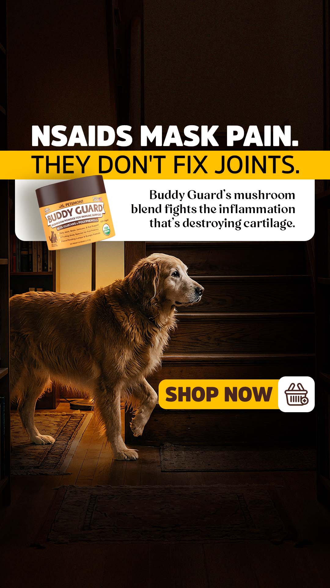 Well Pup Life Facebook ad