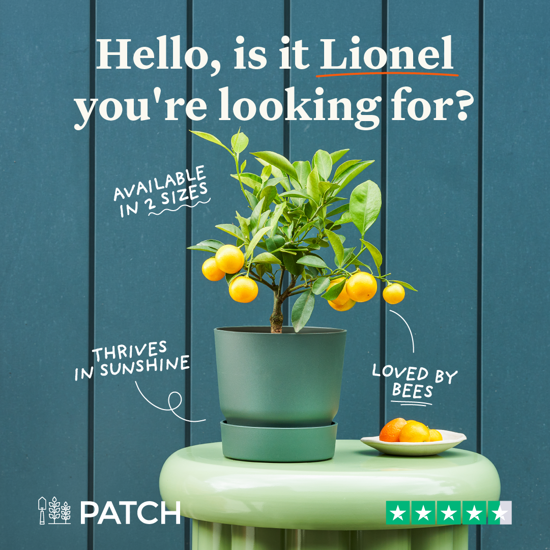 Patch plants Facebook ad
