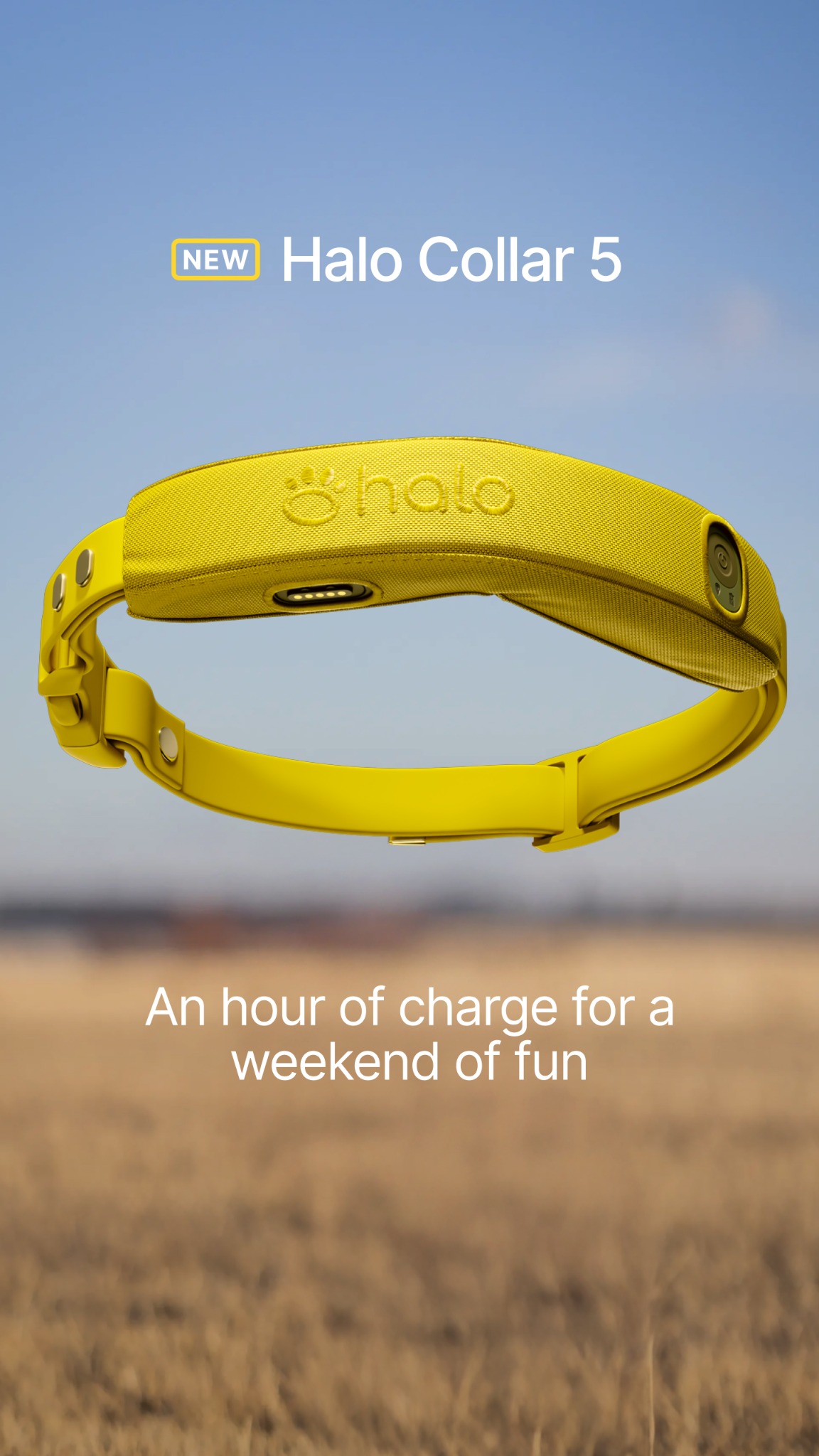 Halo Collar Facebook ad