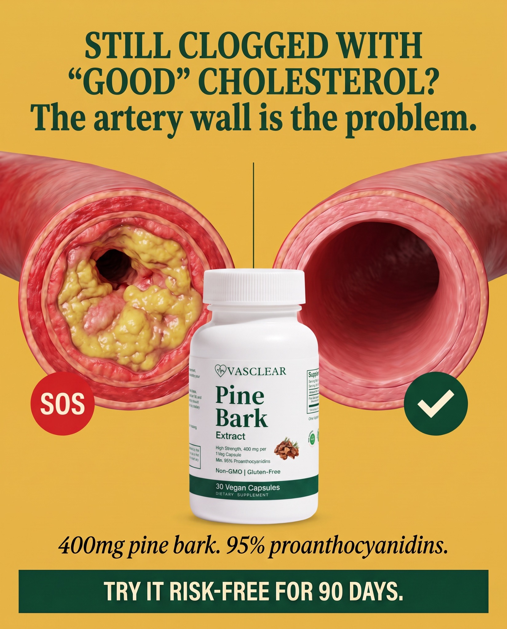 The Longevity Edit Facebook ad: Support Healthy Circulation Naturally