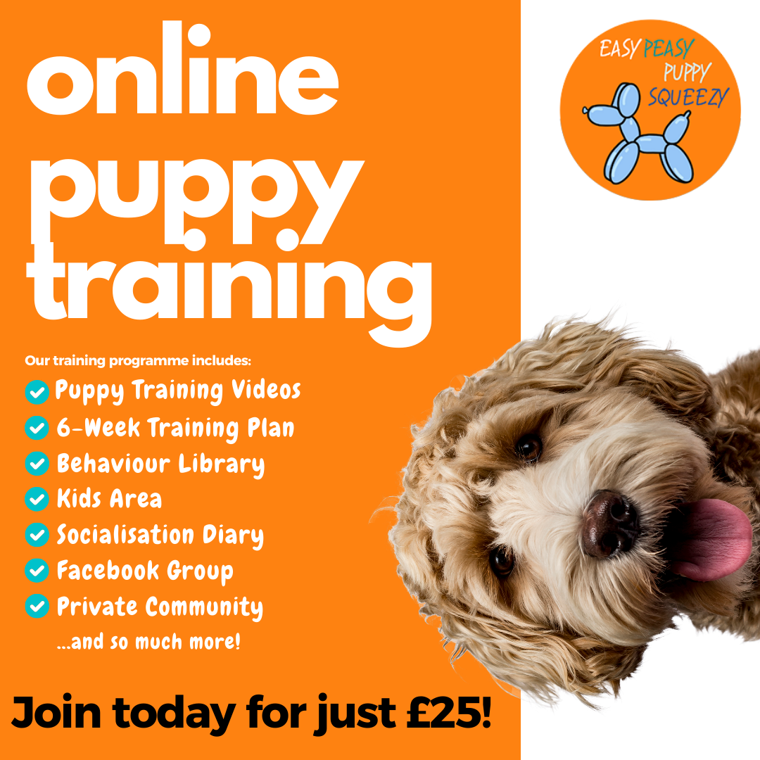 Easy Peasy Puppy Training  Facebook ad
