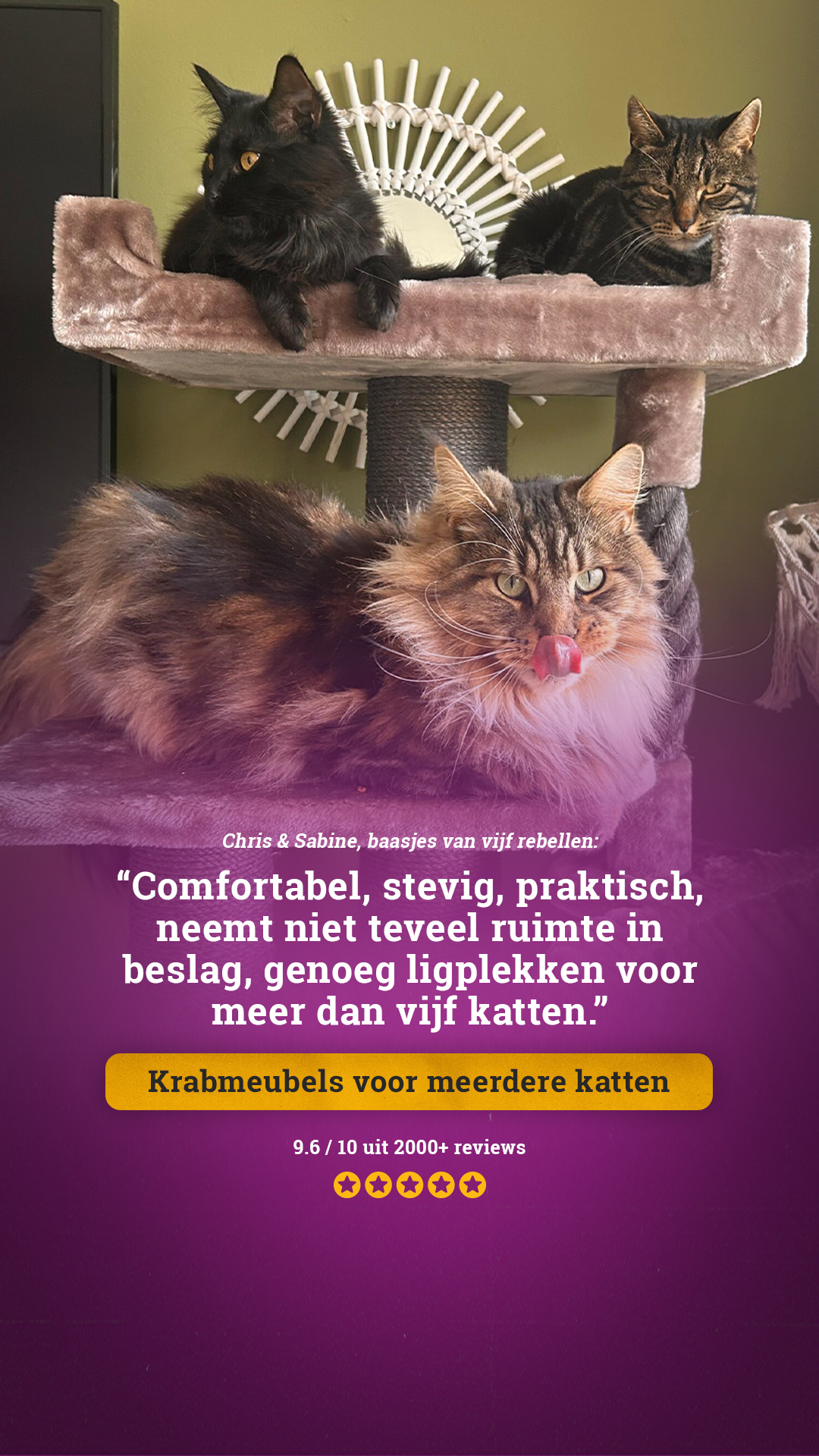 petrebels.com Facebook ad