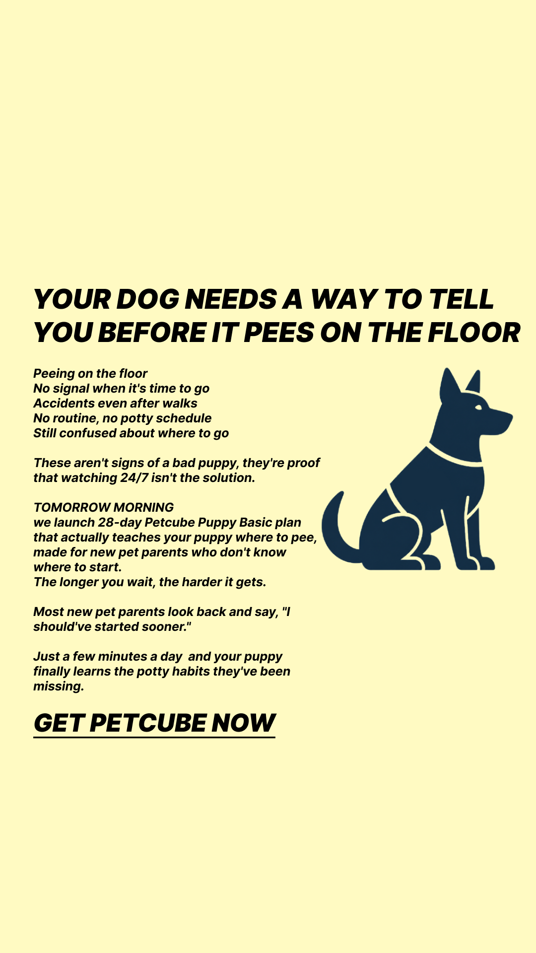 Petcube Facebook ad