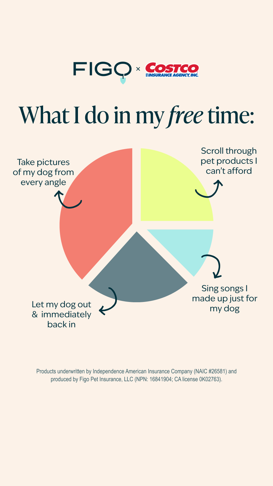 Figo Pet Insurance Facebook ad