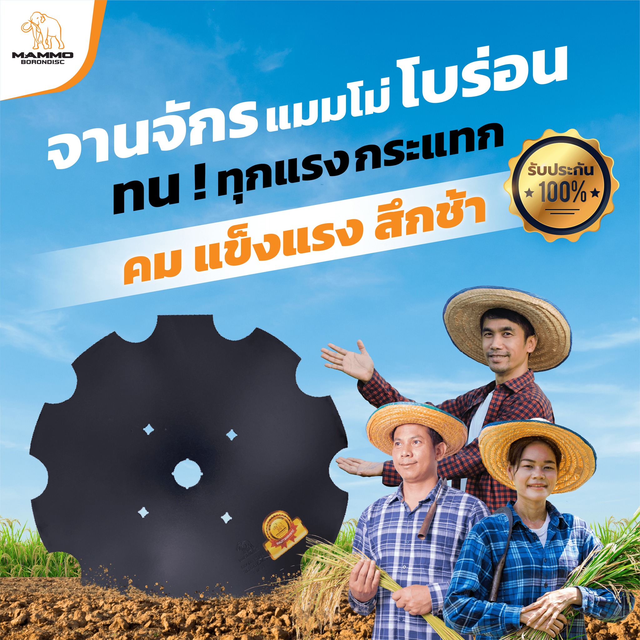 จานไถแมมโม่ พันธุ์แกร่ง สู้หิน สึกช้า Mammo Boron Disc Thailand Facebook ad: ใบผานรถไถ เพื่อเกษตรกรไทย ทนสู้หิน คมเข้าดินดี…