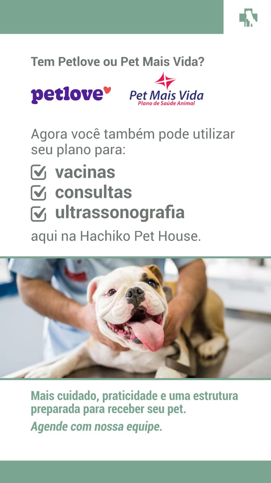 Hachiko Pet House Facebook ad: Plano de saúde para quem é da família