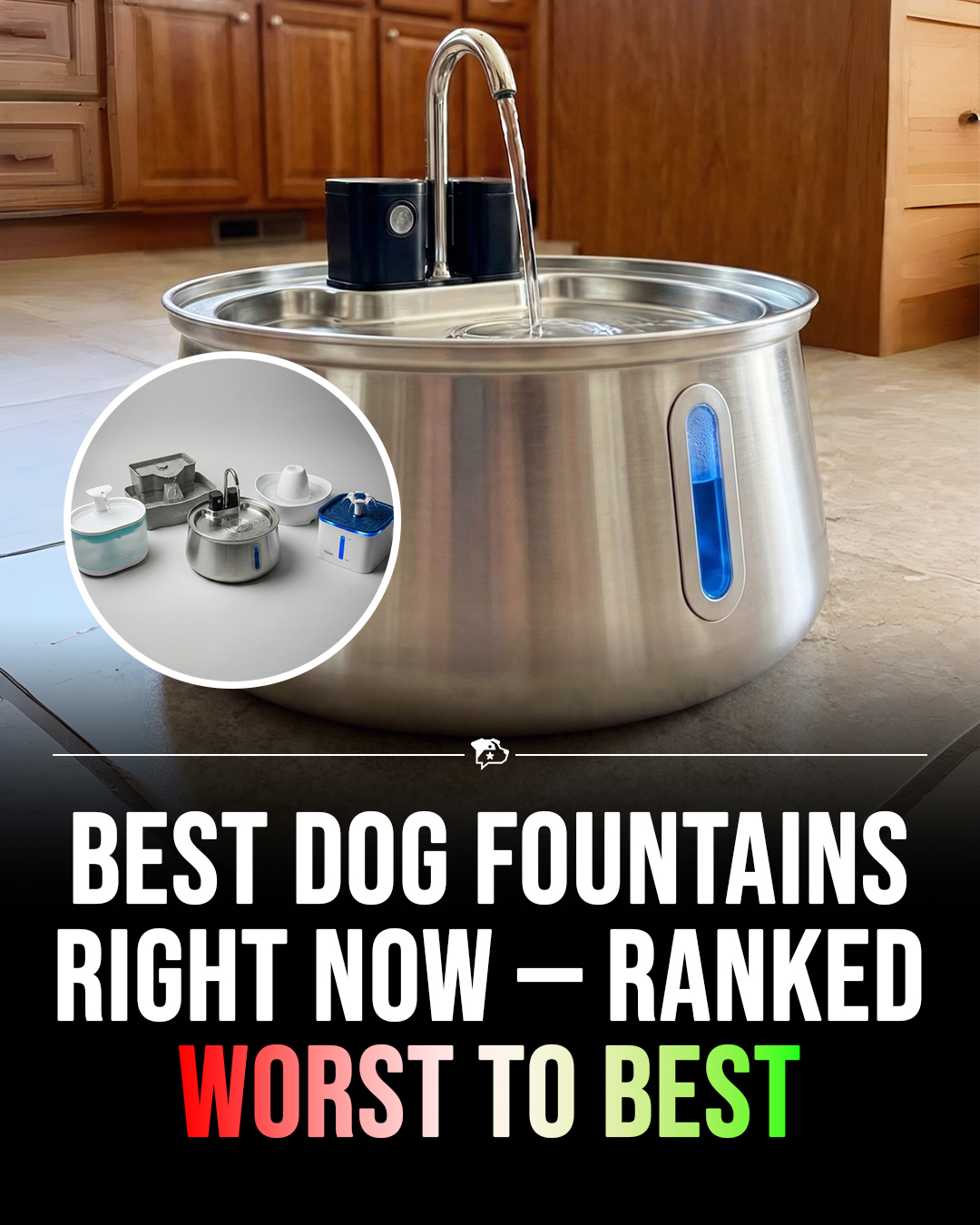 Best Dog Products 2026 Facebook ad