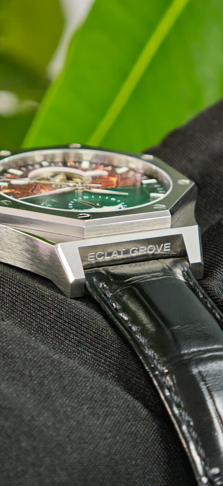 Eclat Grove Facebook ad: Forest Guardian Octagonal Grade 5 Titanium Automatic Watch