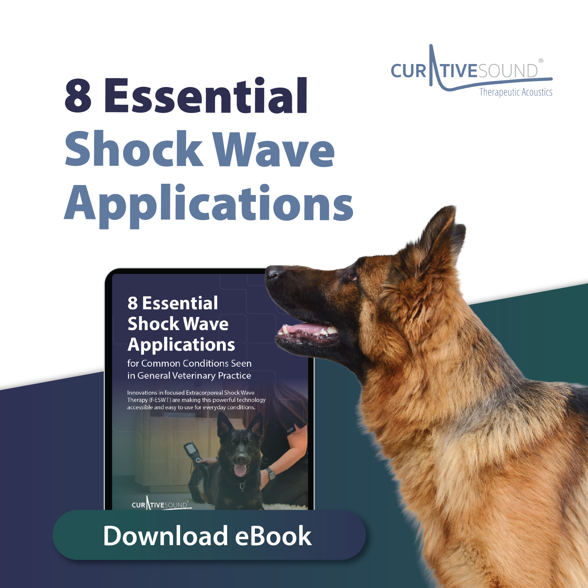 Curative Sound Veterinary Facebook ad: Veterinary Shockwave for General Practitioners