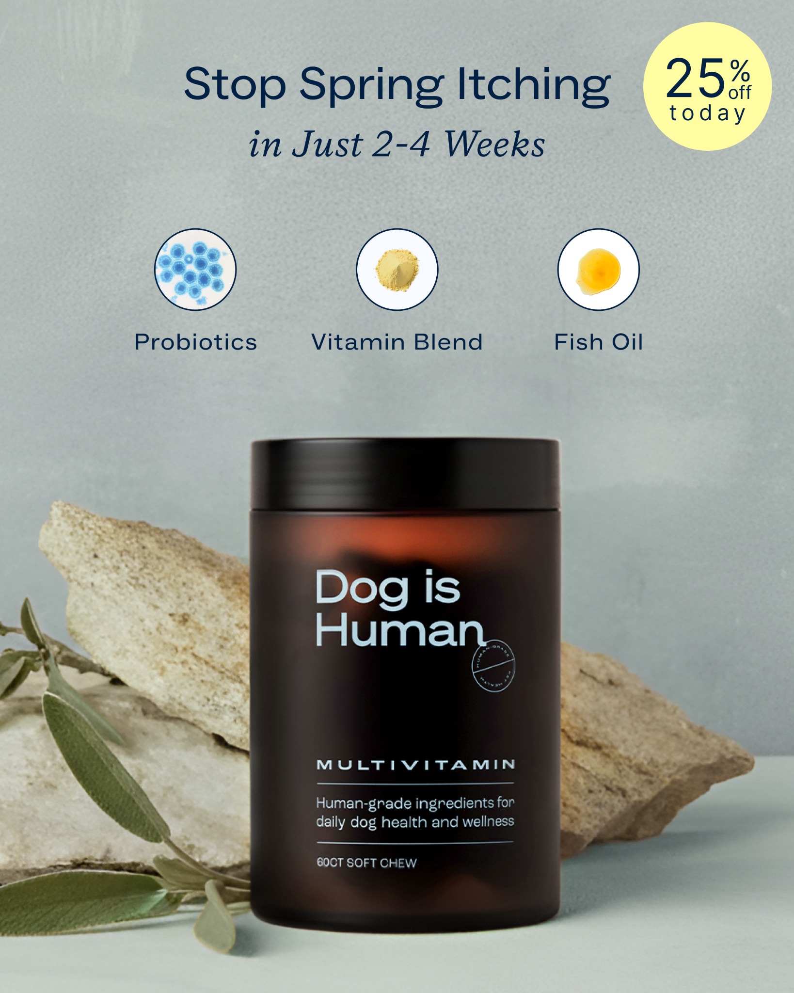 Dog is Human Facebook ad
