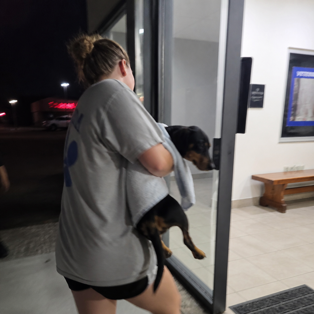 Emma & Her Doxie Facebook ad