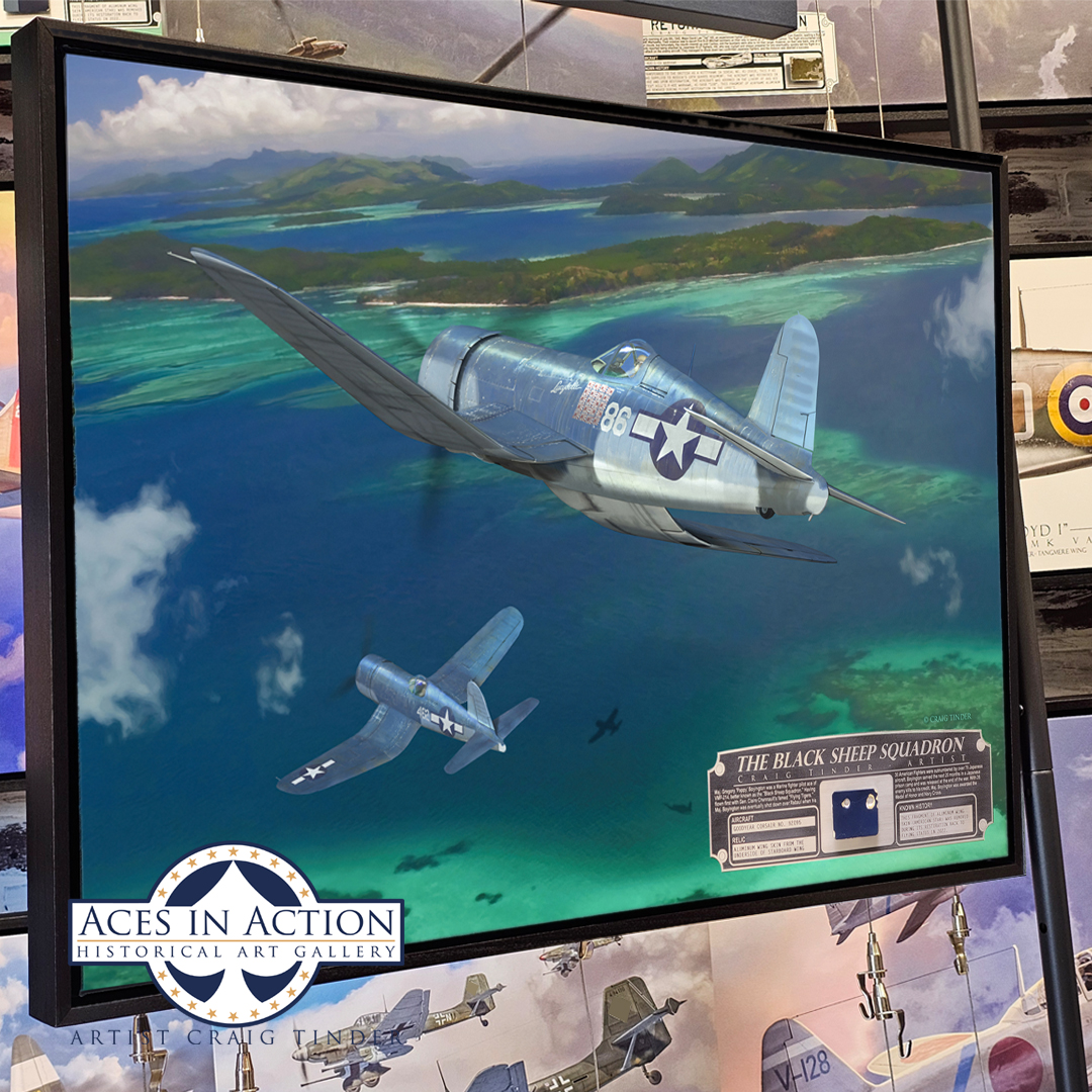 Aces In Action - Historical Art Gallery of Artist Craig Tinder Facebook ad: Each limited-edition canvas includes a genuine artifact…