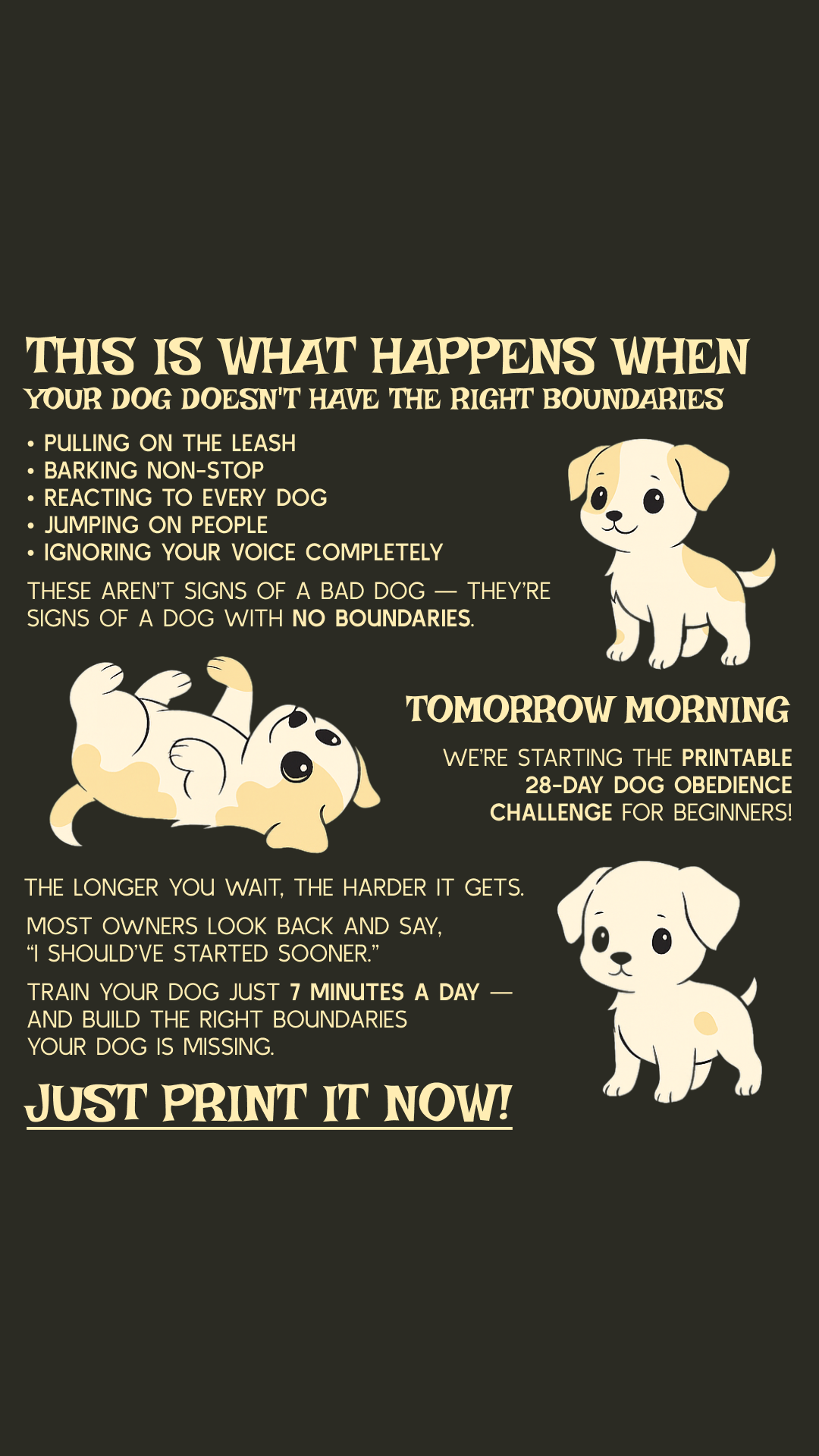 28 Day Dog Obedience Challenge Facebook ad