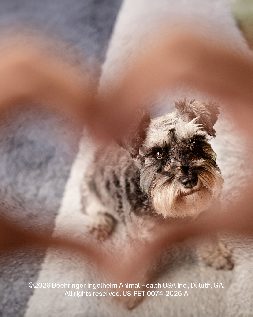 Boehringer Ingelheim Animal Health USA Inc. Facebook ad