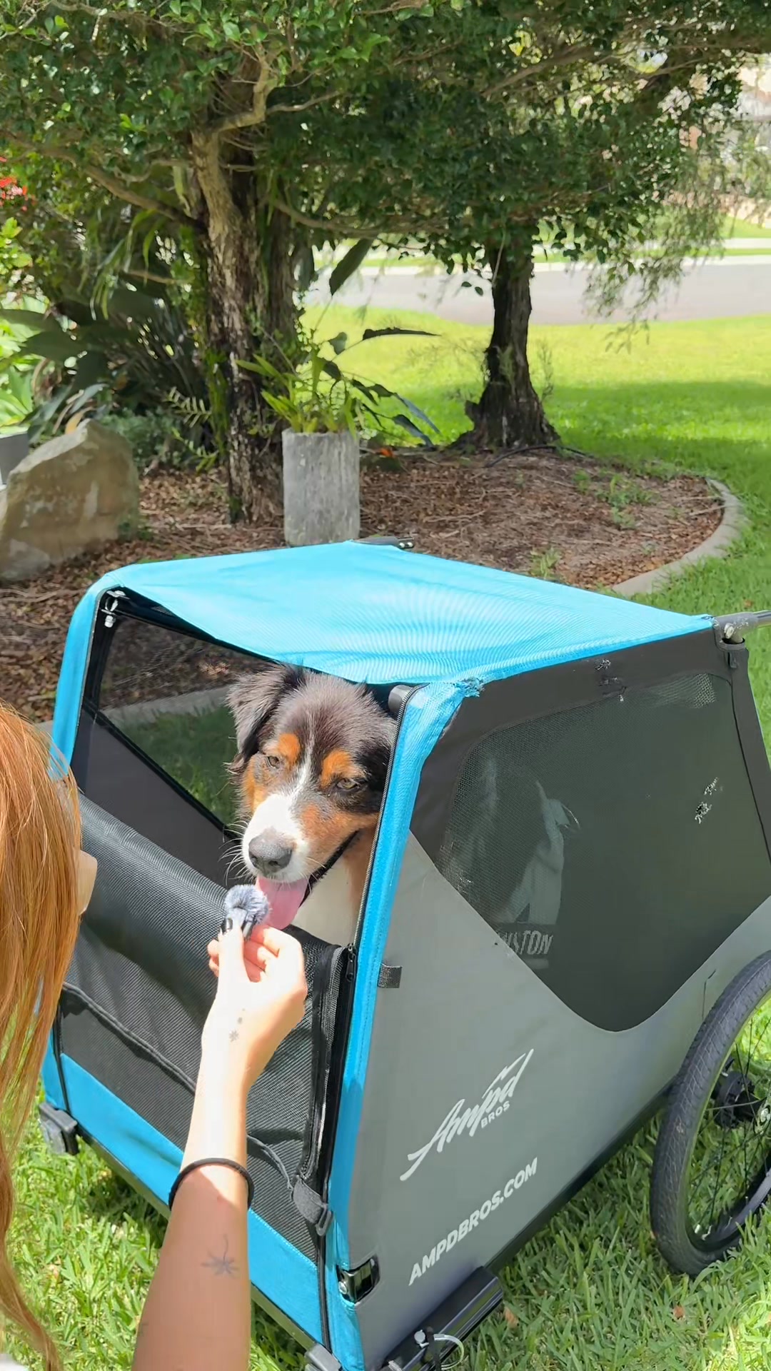 Ampd Bros Electric Bikes Facebook ad: Never leave your pet behind again!