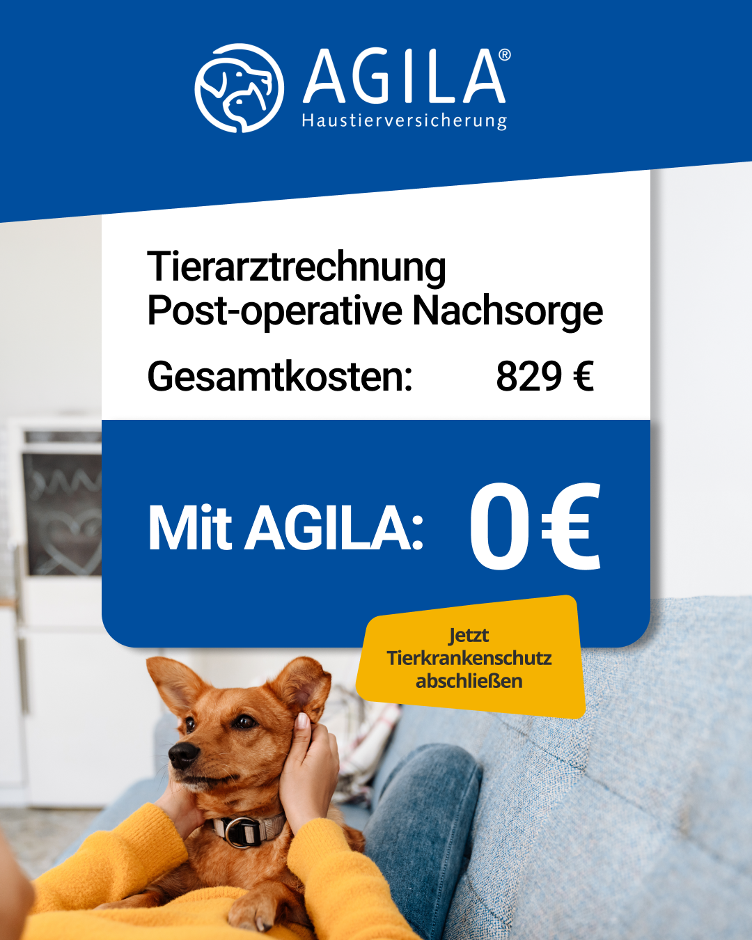 AGILA Haustierversicherung Facebook ad