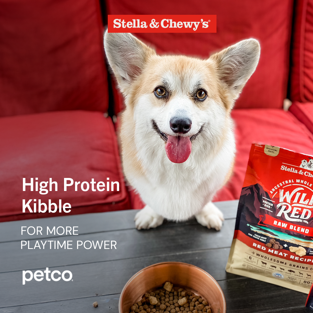 Stella & Chewy's Facebook ad