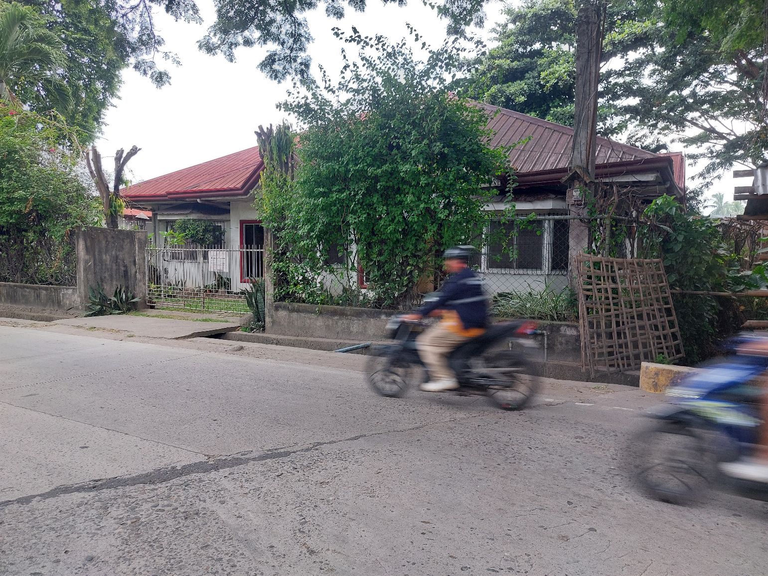 Karen Elnas Trinidad Facebook ad: Commercial Lot for Sale with house in Candau-ay, Dumaguete