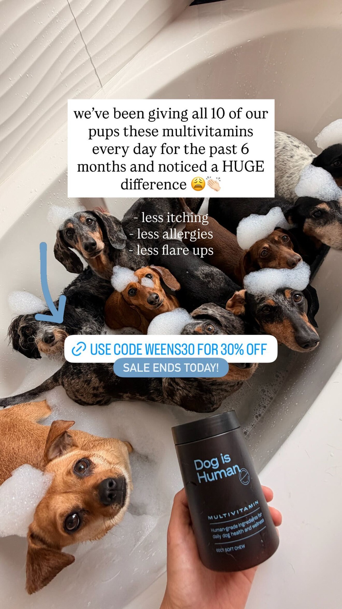 The Weens Facebook ad: Daily Dog Multivitamin, Real Results