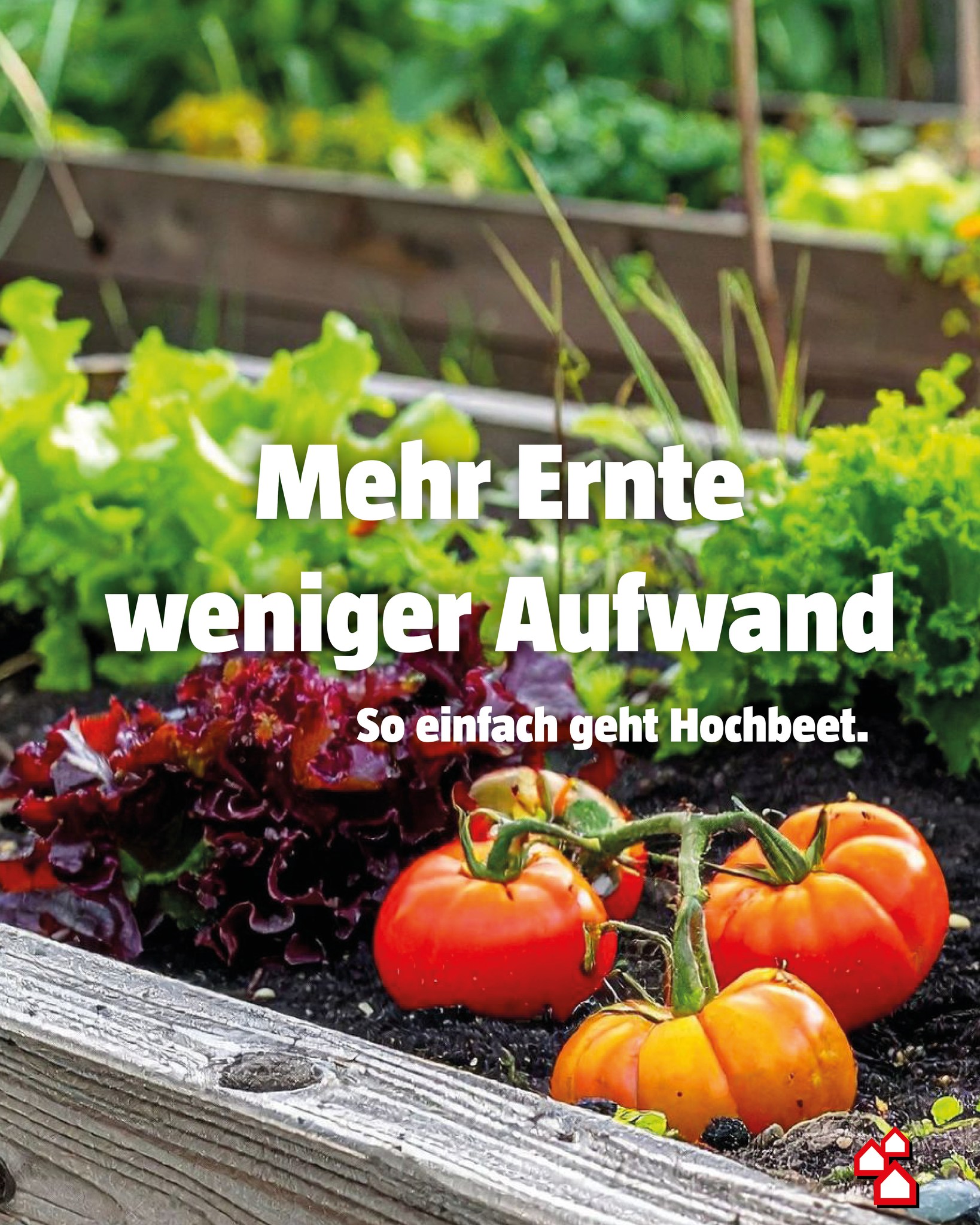BAUHAUS Schweiz Facebook ad