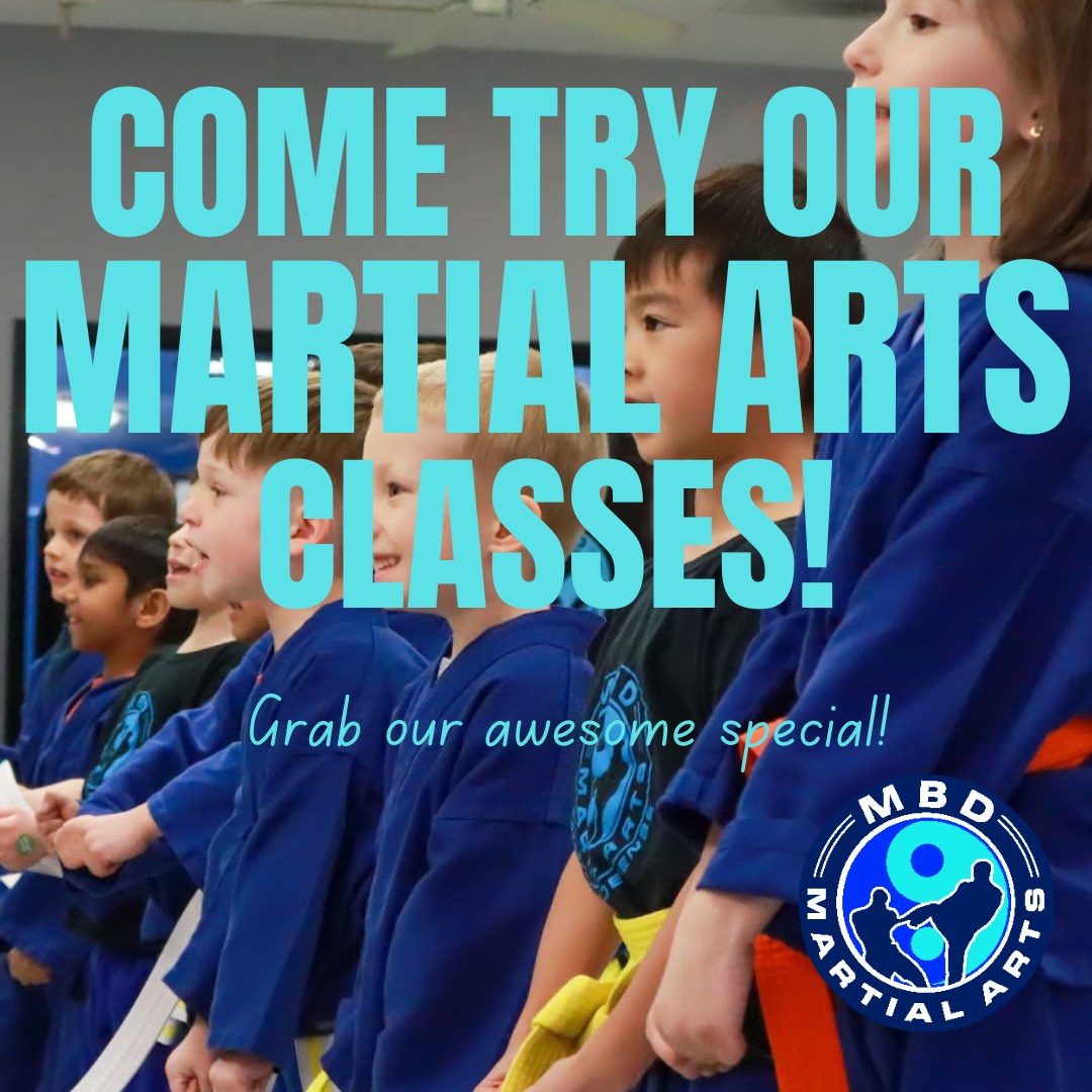 MBD Martial Arts Academy Facebook ad