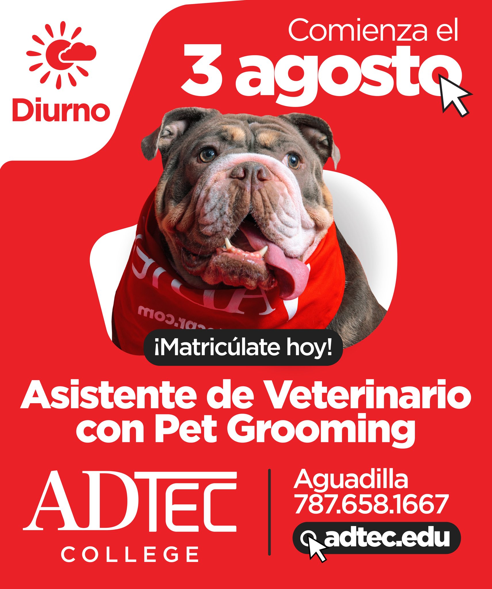 Adtec College Facebook ad
