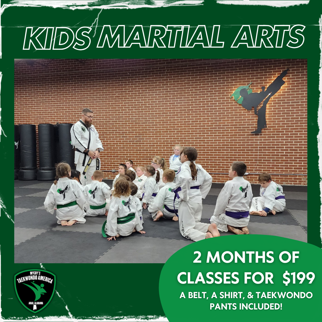 McCoy's Taekwondo America and Krav Maga Facebook ad: Special Offer: 2 Months TKD for $199!
