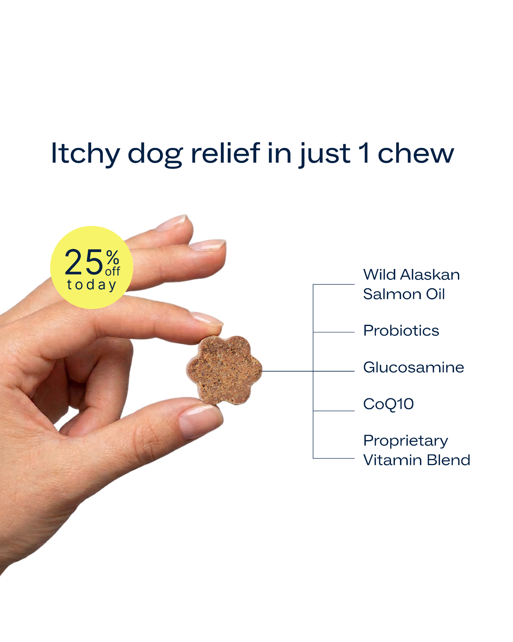 Dog is Human Facebook ad