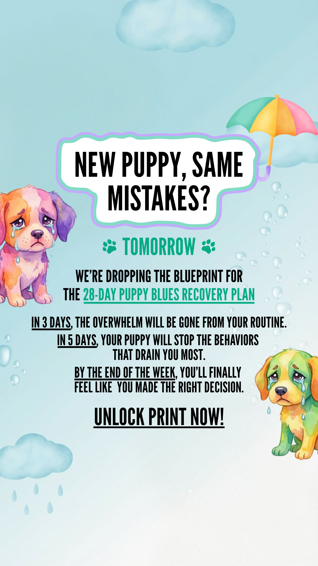 Woofz - Puppy Training Facebook ad