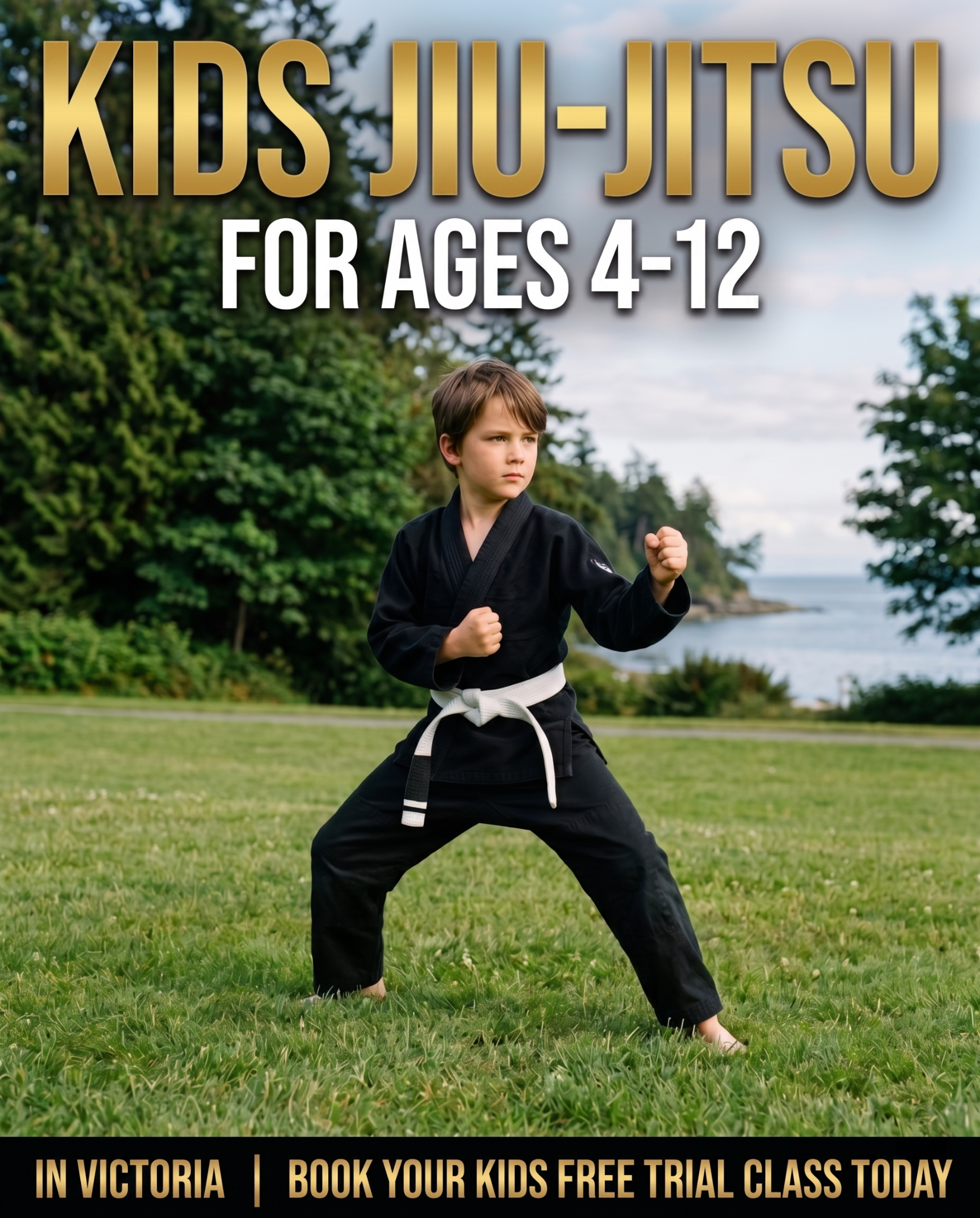Van Isle Jiu Jitsu Academy Facebook ad