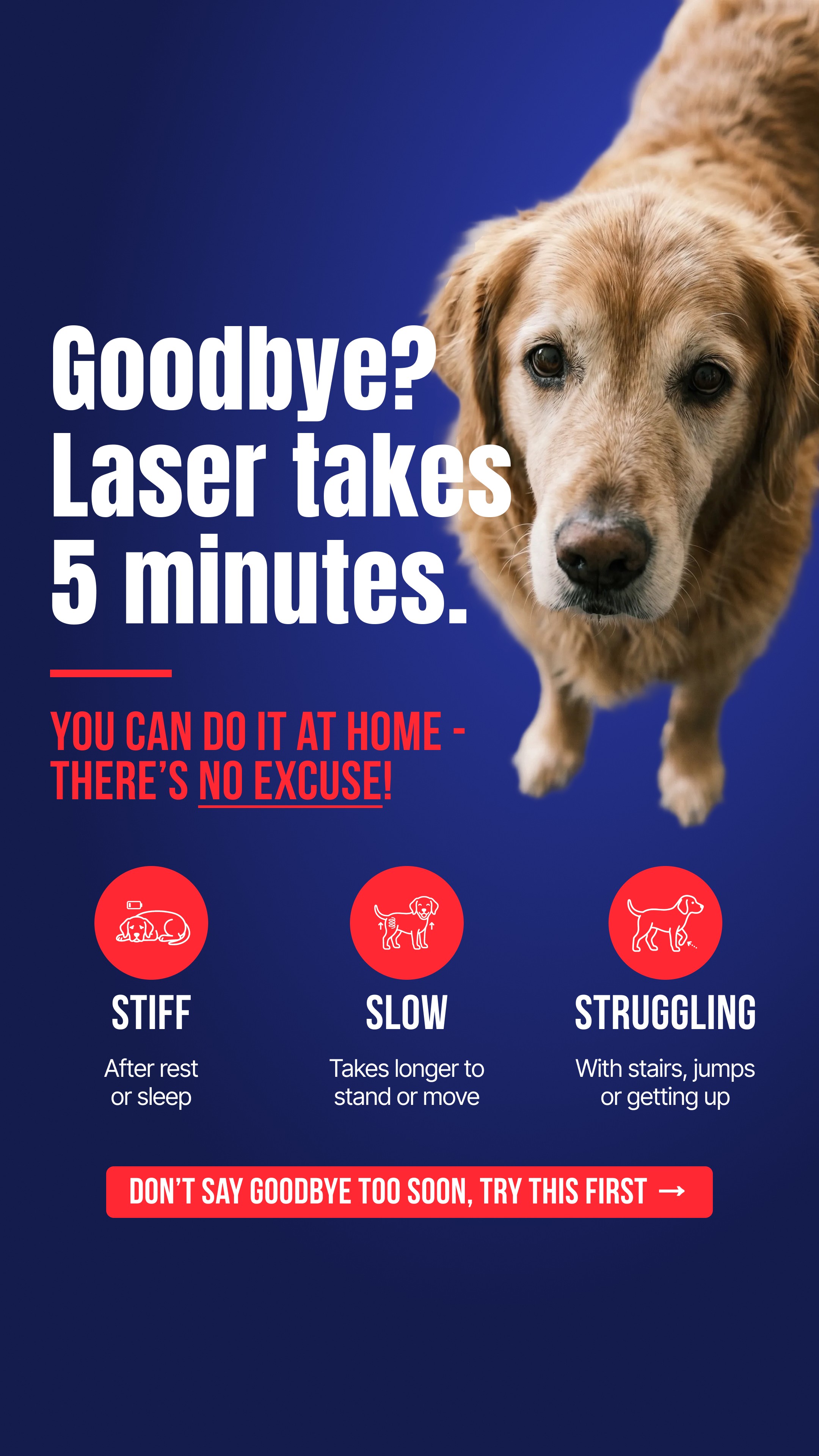Helio Pet Facebook ad