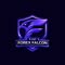 The Forex Falcon