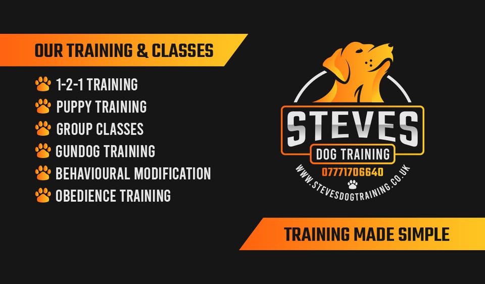 Steves Dog Training Facebook ad: 1-2-1 dog training, group classes, Gundog training and…