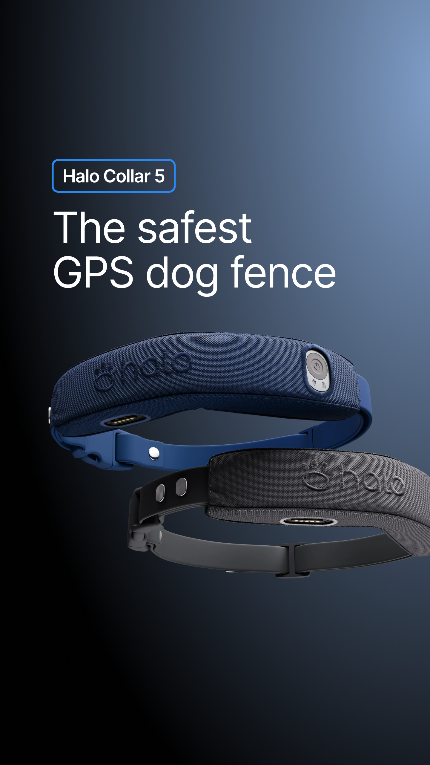 Halo Collar Facebook ad
