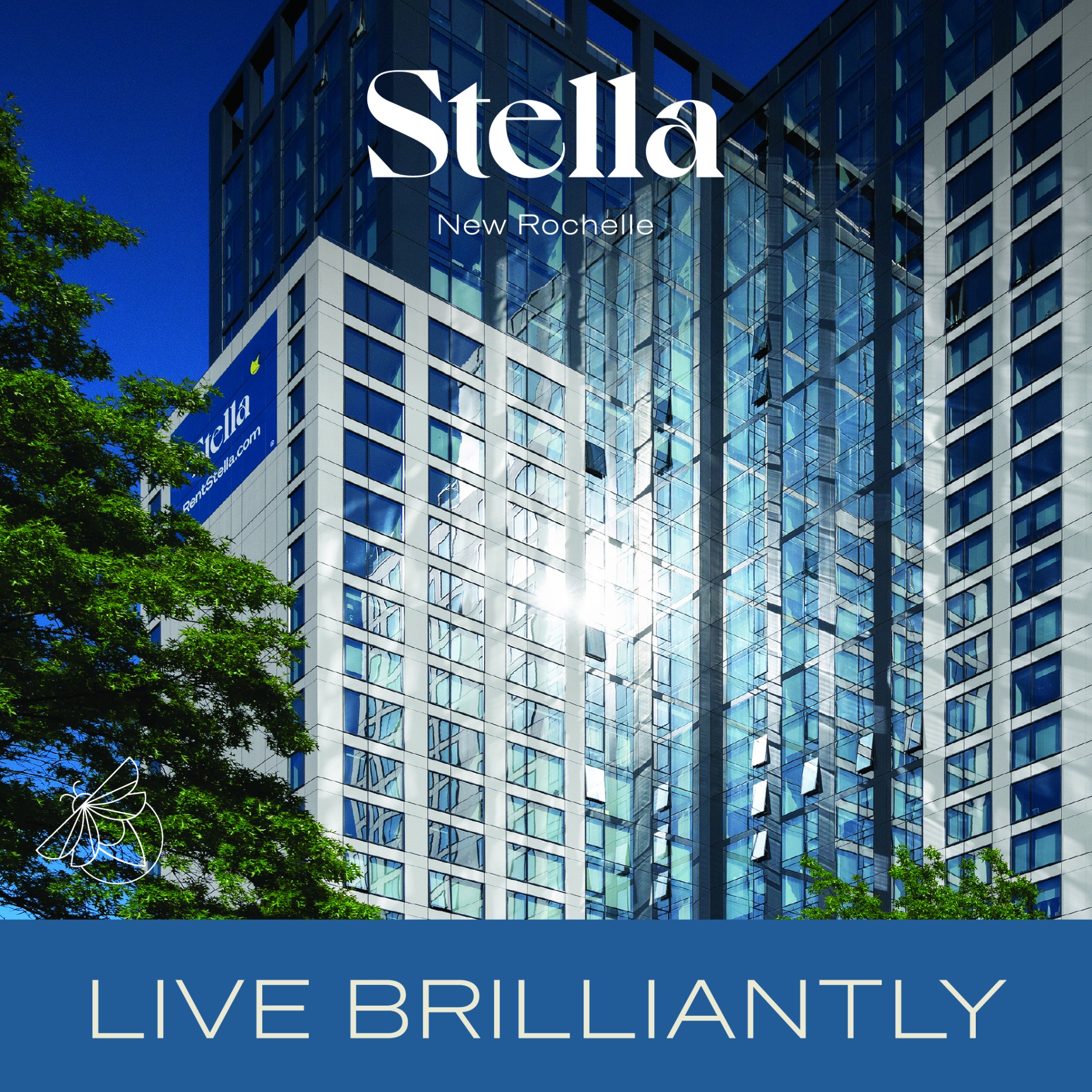 Stella New Rochelle Facebook ad