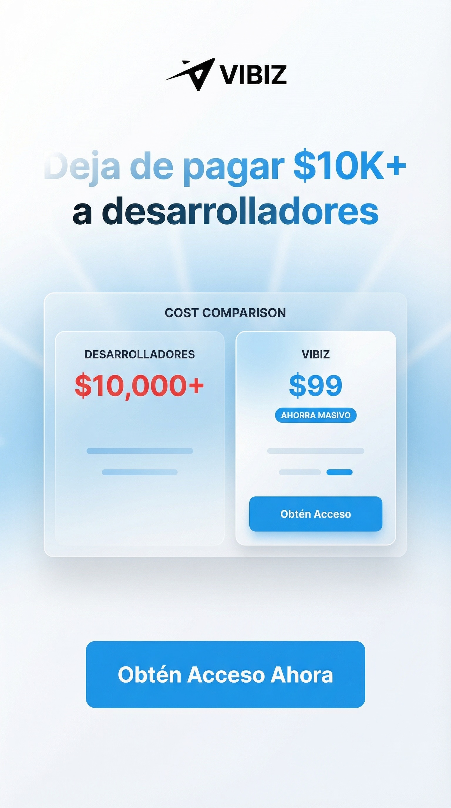 Vibiz Facebook ad