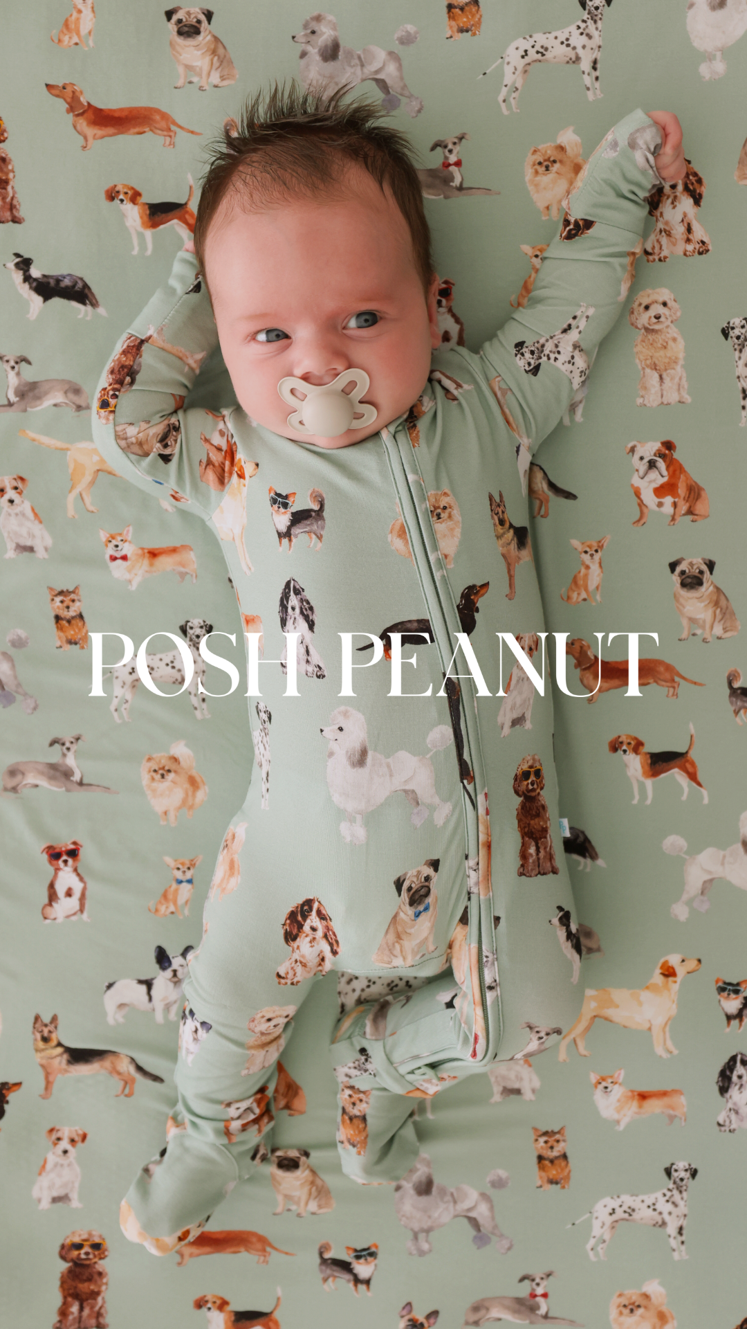 Posh Peanut Facebook ad