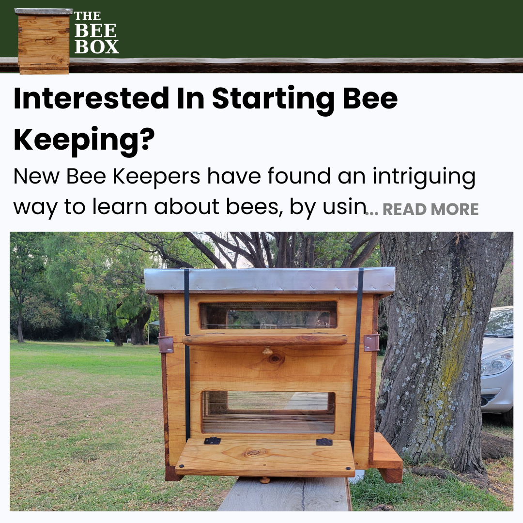 The Bee Box Facebook ad