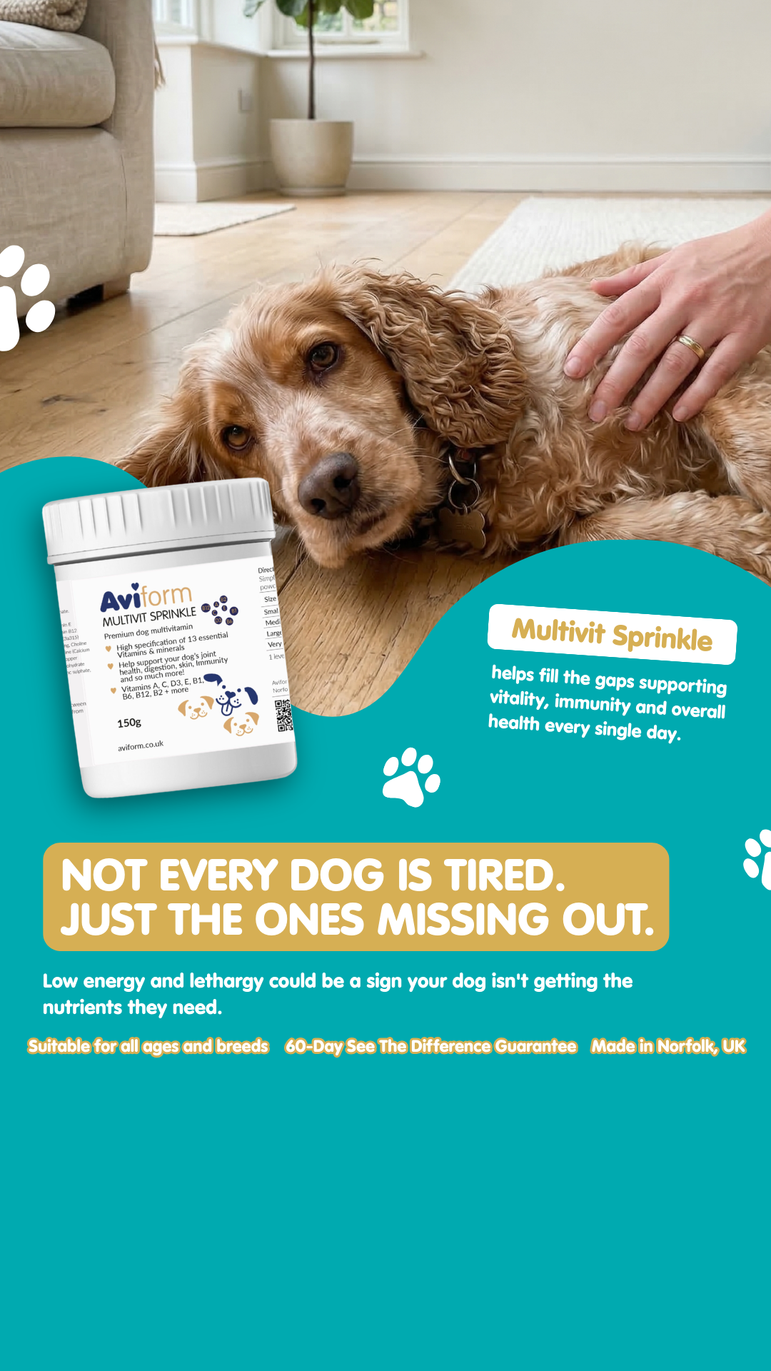 Aviform Nutrition UK - Horse & Dog Facebook ad