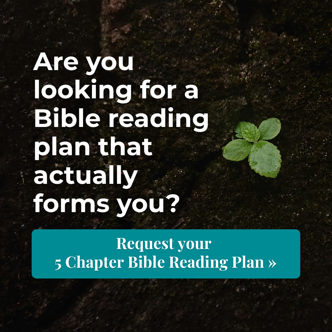 The Navigators Facebook ad: Request your 5 Chapter Bible Reading Plan »