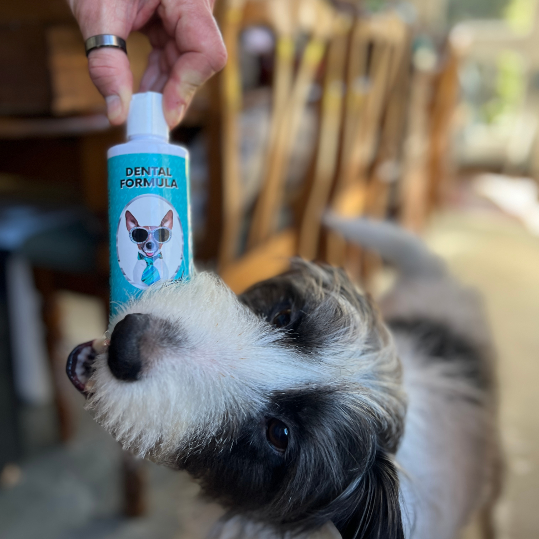 Nutri Paw Facebook ad
