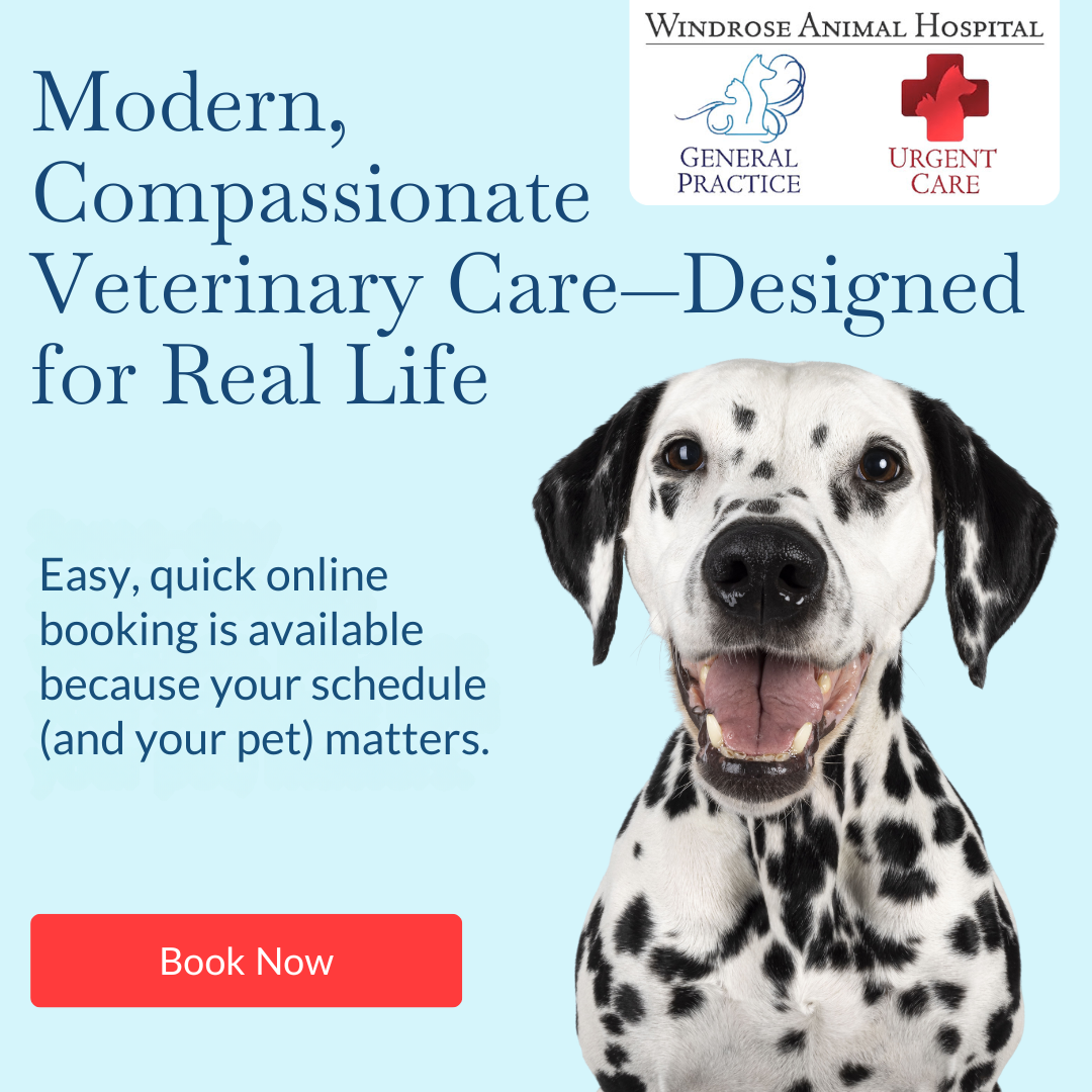 Windrose Animal Hospital Facebook ad: Your Pet’s Partner in Health-From Routine to Remarkable