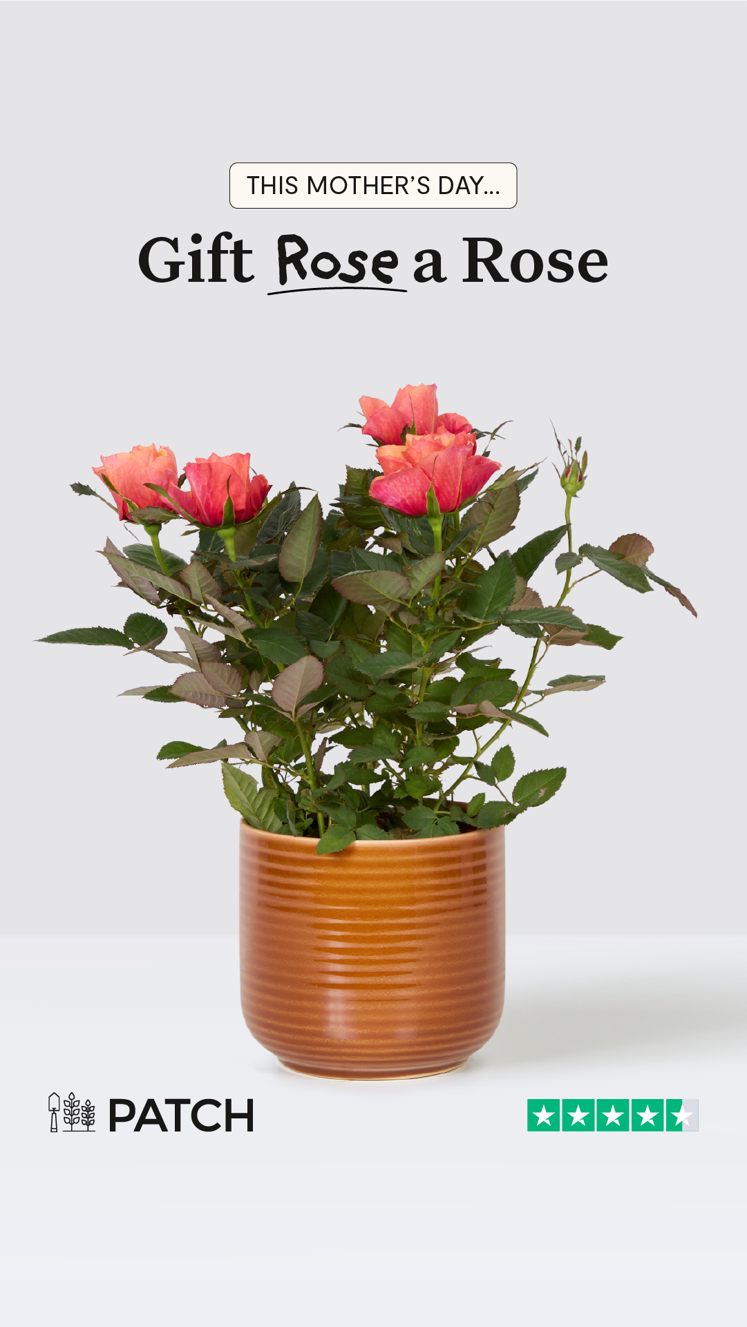 Patch plants Facebook ad