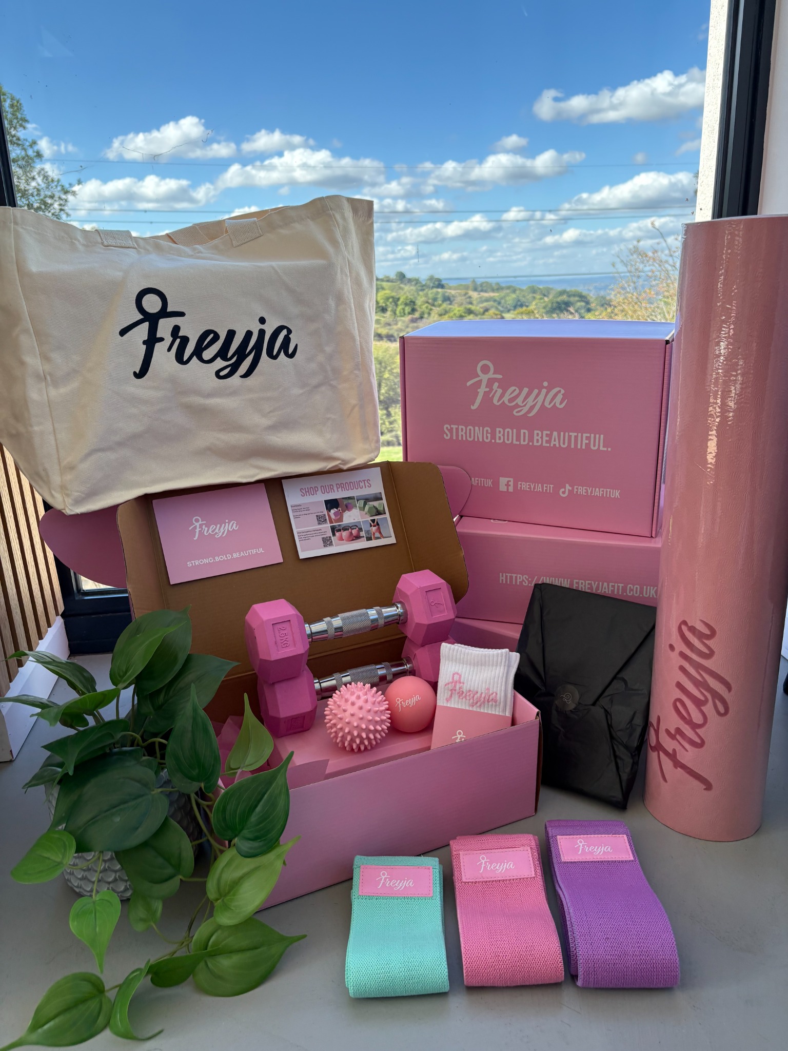 FreyjaFit Facebook ad