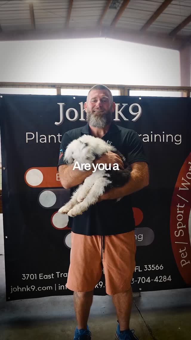 John K9, LLC Facebook ad: If you’ve ever felt frustrated walking your dog…