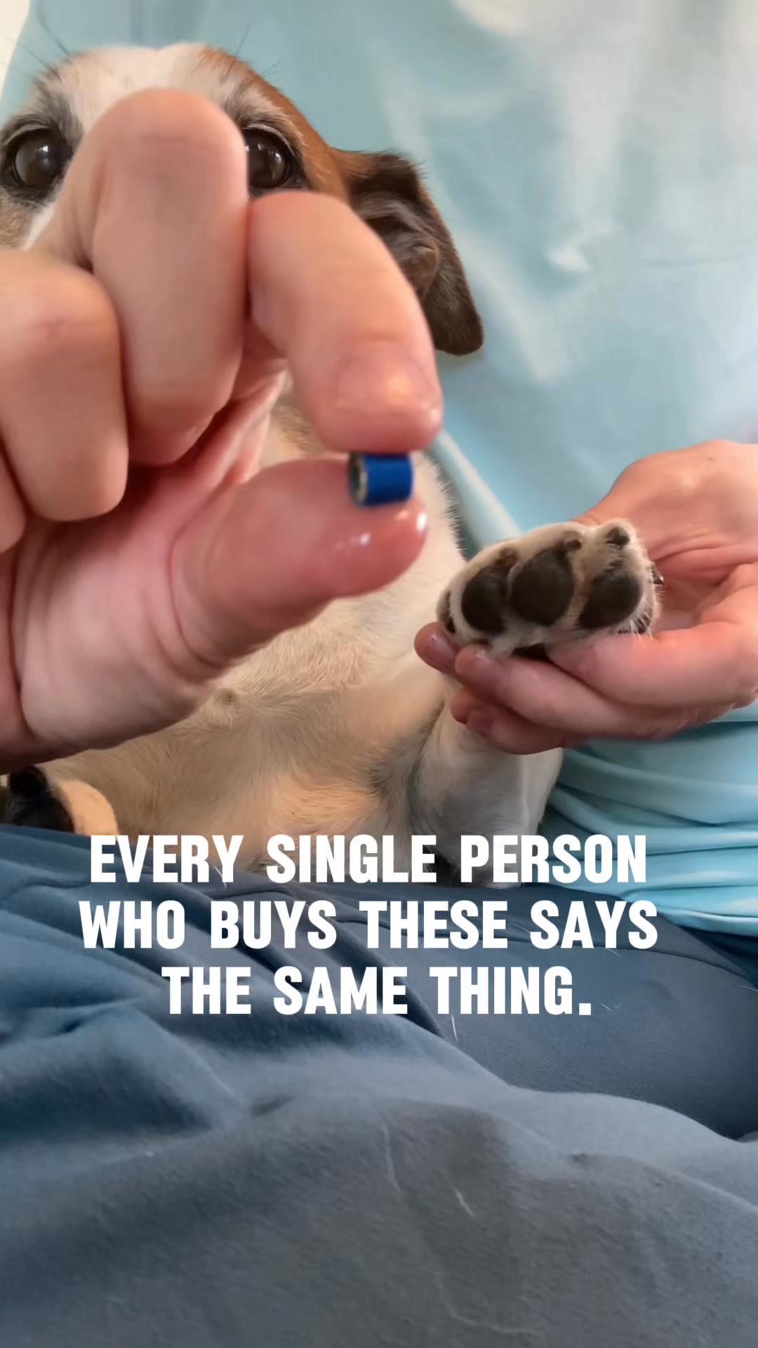 Dr. Buzby's ToeGrips for Dogs Facebook ad: Nature's Grip, Enhanced