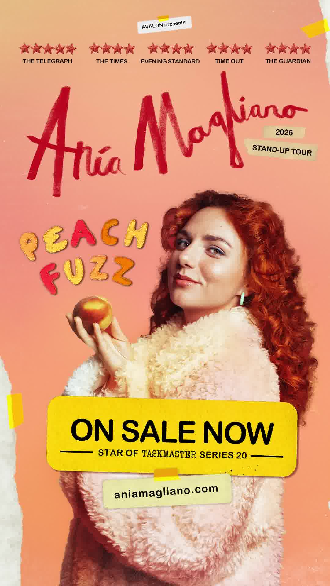Ania Magliano Facebook ad from Feb 6, 2026