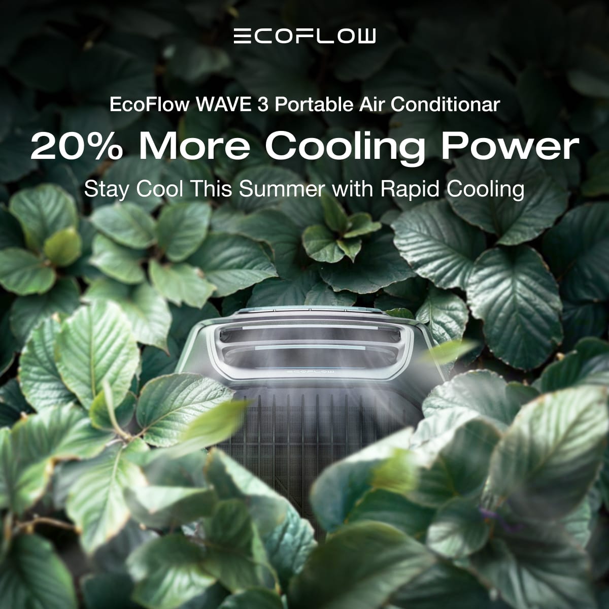EcoFlow Facebook ad